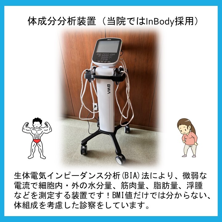 体成分分析装置